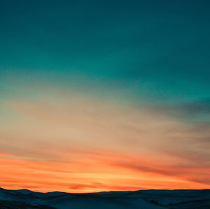 Meet your Posher, Rina